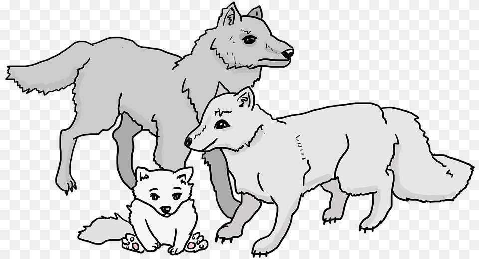 Wolves Wolf Pack Wolf Cub Family Beast Animals Pack Of Wolves Cartoon, Animal, White Dog, Pet, Mammal Free Png Download