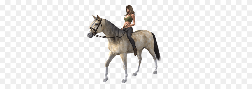 Woman Andalusian Horse, Animal, Horse, Mammal Png