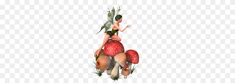 Woman Person, Fungus, Plant, Dancing Free Transparent Png