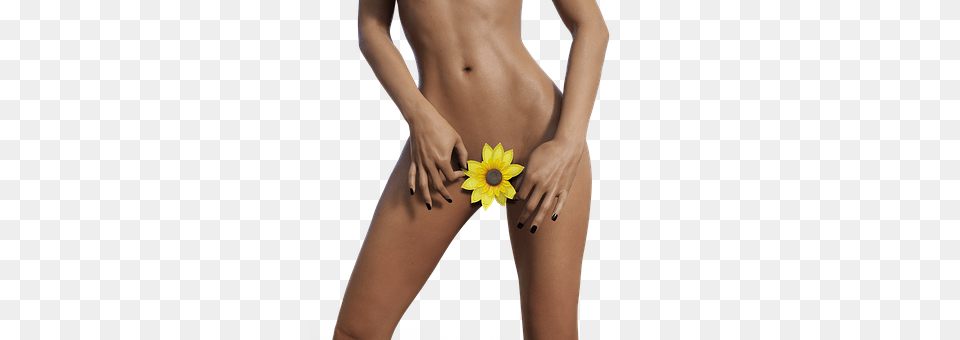 Woman Swimwear, Clothing, Adult, Plant Free Transparent Png