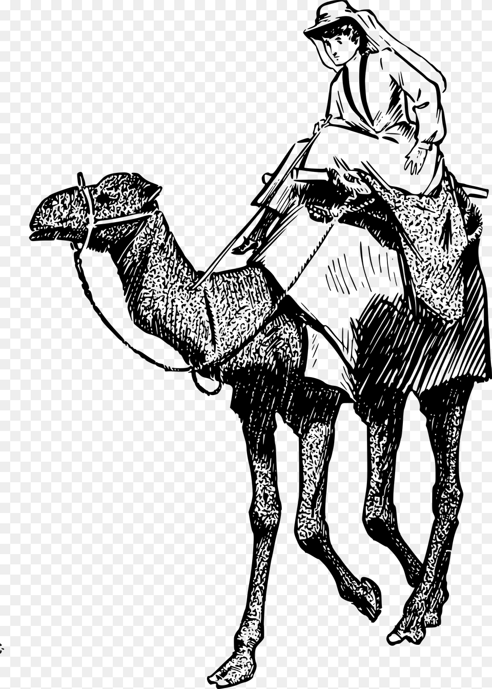 Woman On A Camel Clip Arts Woman And Camel, Gray Png Image