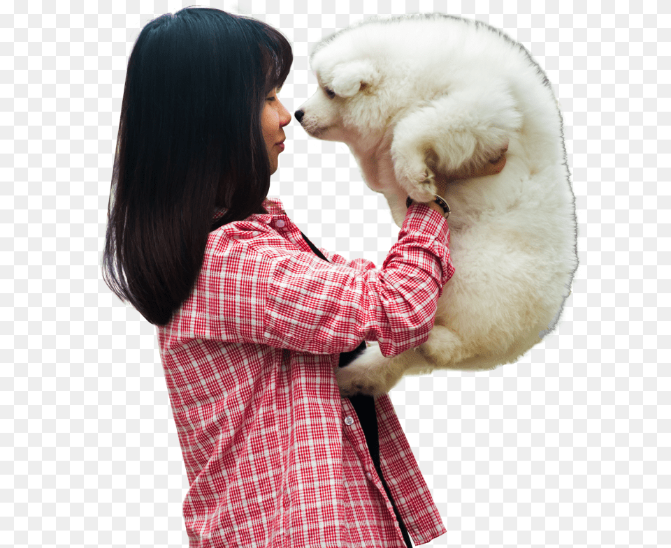 Woman Playing With A Puppy Dog Image Dog, Animal, Bear, Wildlife, Mammal Free Transparent Png