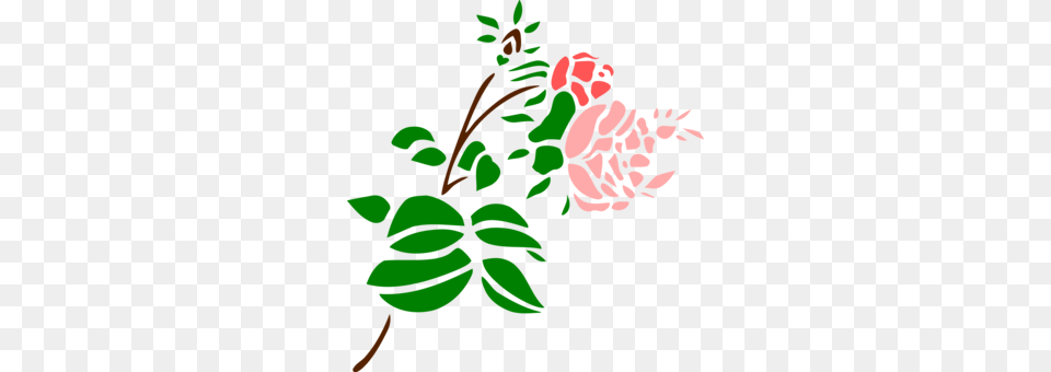 Woman Rose Drawing, Plant, Flower, Art, Graphics Png Image