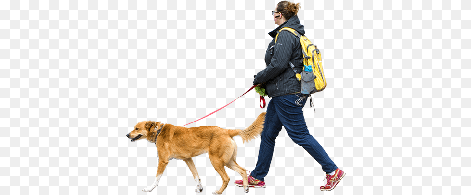 Woman Walking Dog Windy Day People Walking, Accessories, Strap, Pet, Person Free Png Download