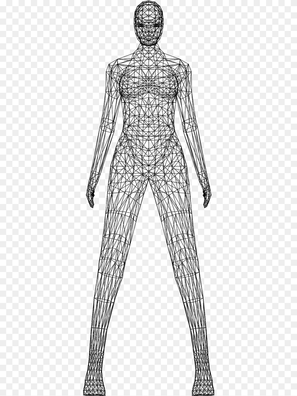 Woman Wireframe Low Poly Photo Body Wireframe, Gray Free Png Download