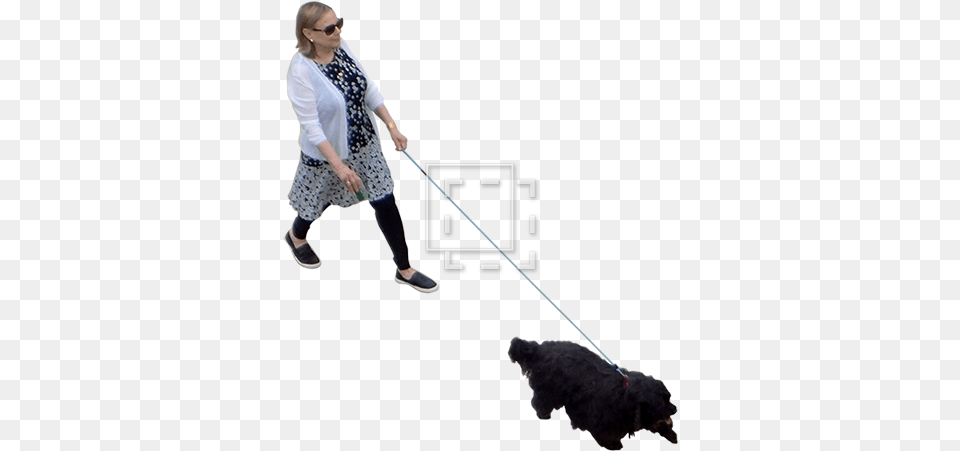 Woman With Dog Overhead View Dog Walking, Teen, Female, Girl, Person Png Image