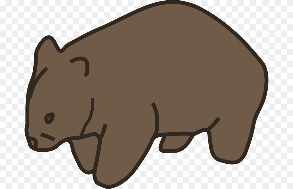 Wombat, Animal, Mammal Free Png