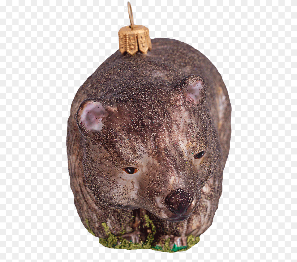 Wombat Bears, Accessories, Bronze, Animal, Mammal Free Png Download