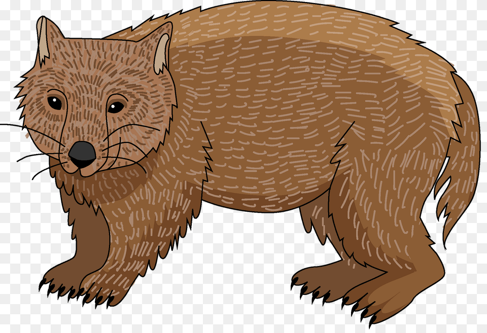 Wombat Clipart, Animal, Mammal, Wildlife, Fish Free Png Download
