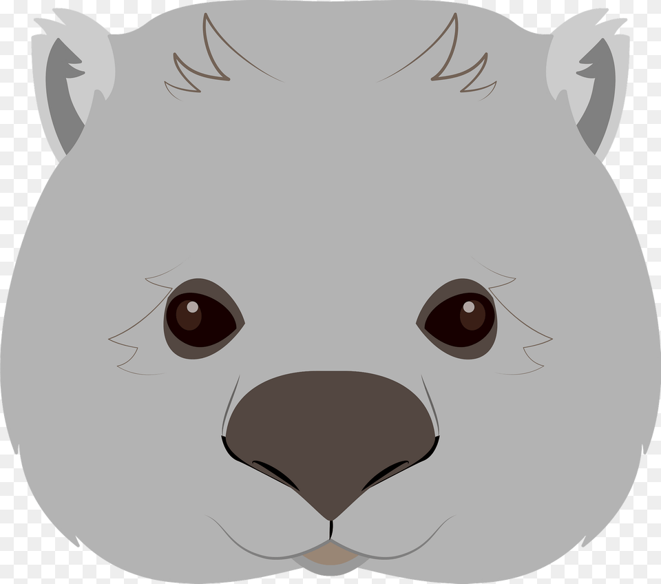 Wombat Face Clipart, Snout, Animal, Fish, Sea Life Free Png Download