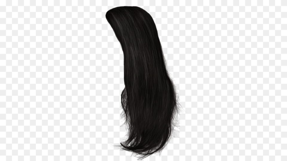 Women Hair Images Transparent Long Male Hair, Black Hair, Person, Adult, Female Png Image