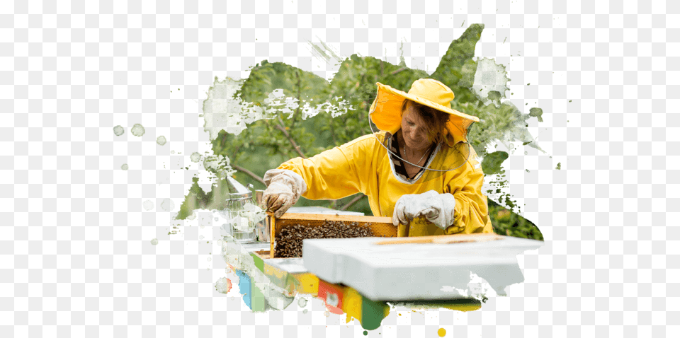 Women In Yellow Raincoat Works With Honecomb Raincoat, Adult, Person, Woman, Female Png Image
