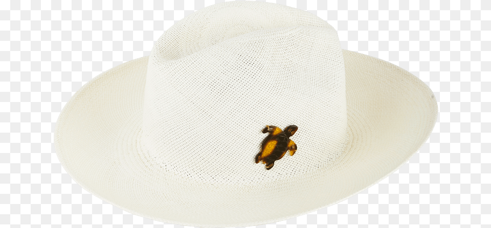Women Others Solid Sombrero, Animal, Clothing, Hat, Reptile Free Png Download