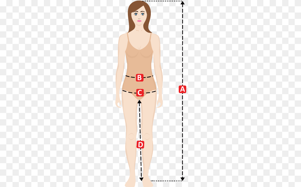 Women Pant Chap Size Guide Illustration, Adult, Chart, Female, Measurements Free Png