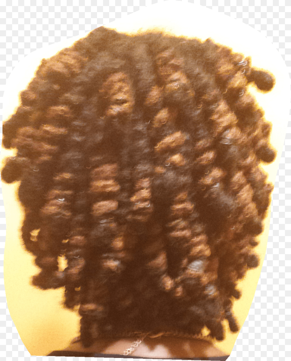 Womens Barrell Twists Dreadlocs Style, Back, Body Part, Person, Home Decor Free Png