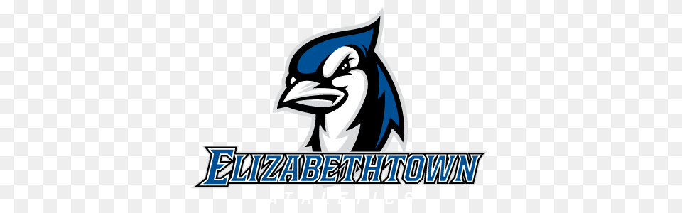 Womens Basketball Elizabethtowns Comeback Is Not Enough As Blue, Animal, Bird, Jay, Blue Jay Free Png Download