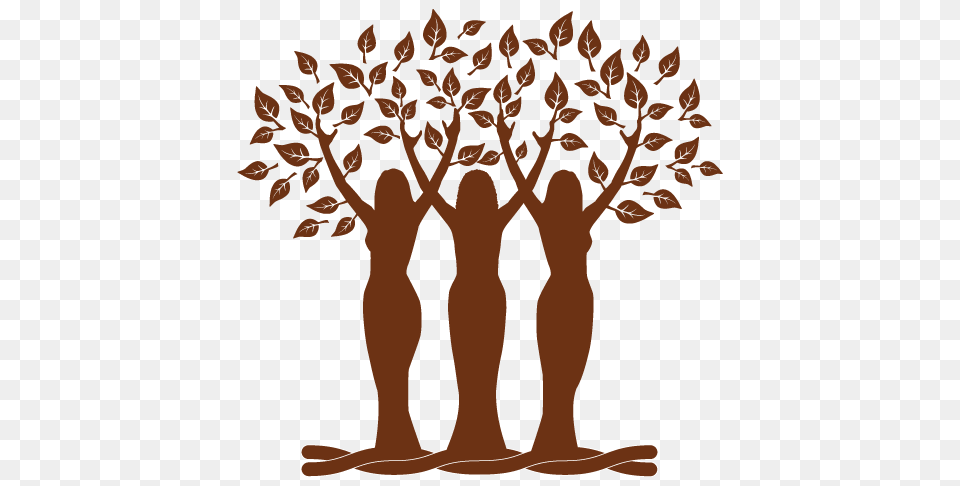 Womens Herbal Conference, Art, Plant, Tree, Painting Free Png Download