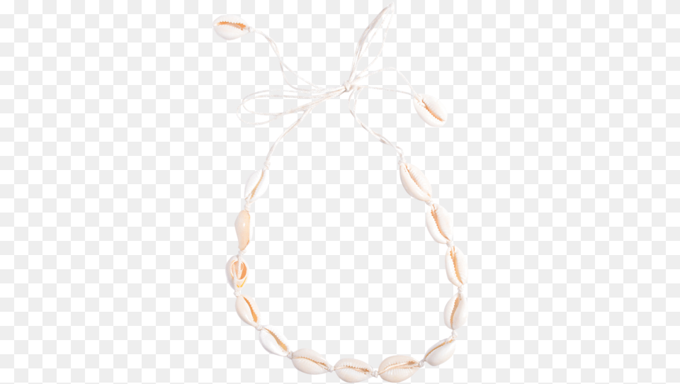 Womens Necklaces Shell Choker Necklace, Accessories, Bracelet, Jewelry Free Png Download