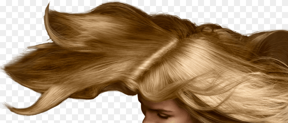 Womens Regaine Blond, Blonde, Person, Hair, Adult Png