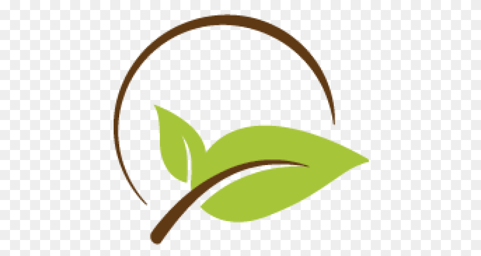 Womens Retreat Sermons New Life Church, Leaf, Plant, Food, Fruit Png Image