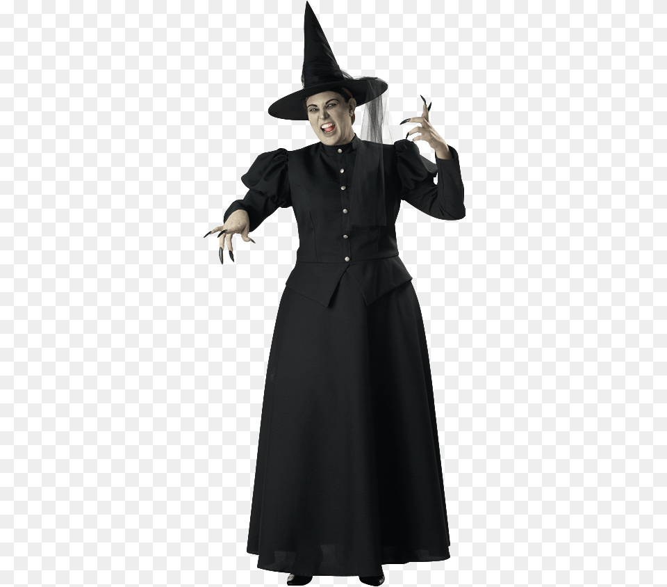 Womens Wicked Witch Plus Size Costume Witch Costume, Adult, Person, Woman, Female Free Png Download