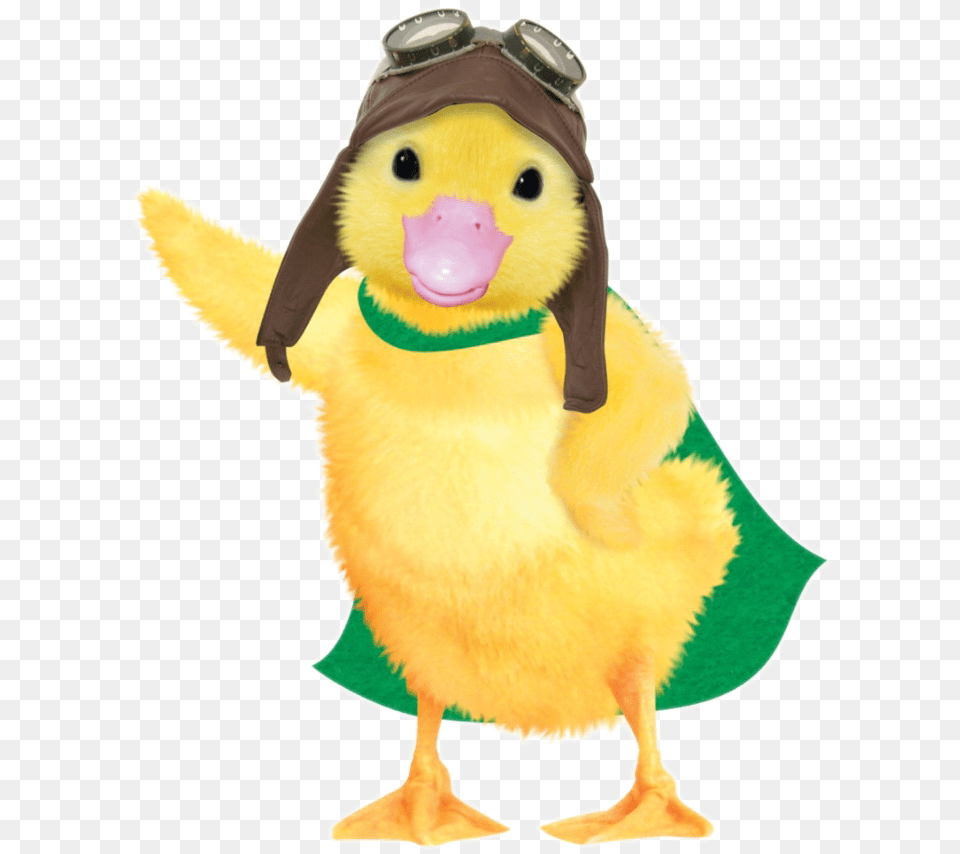 Wonder Pets, Animal, Bird, Penguin, Duck Png Image