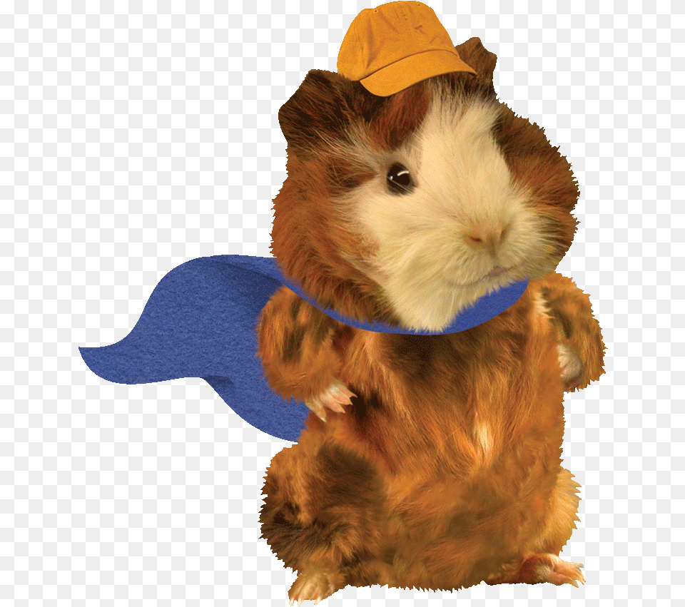 Wonder Pets What39s Gonna Work Teamwork Gif, Clothing, Hat, Animal, Mammal Png