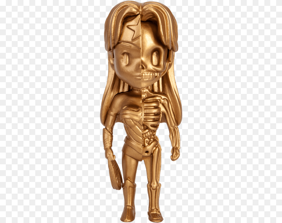 Wonder Woman Disecction, Bronze, Person Png