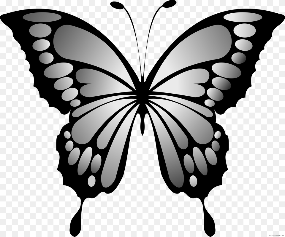 Wonderful Butterfly Animal Free Black White Clipart Yellow And Red Butterfly Png Image
