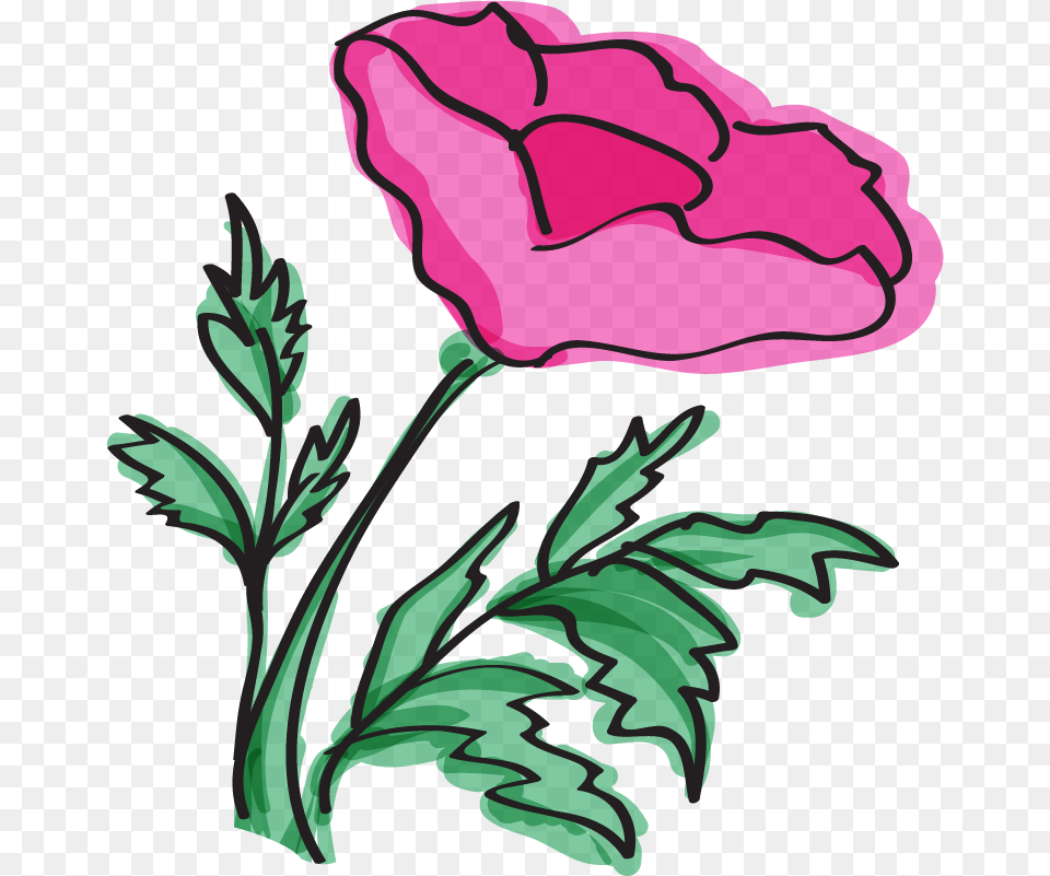 Wondering What To Get For Mothers Day Dishwasher, Carnation, Flower, Plant, Dynamite Free Png Download
