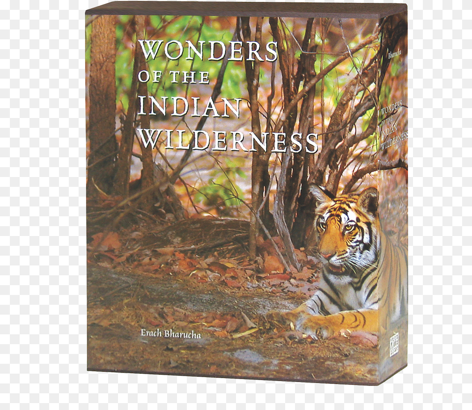 Wonders Of The Indian Wilderness Bengal Tiger, Animal, Mammal, Wildlife Free Png