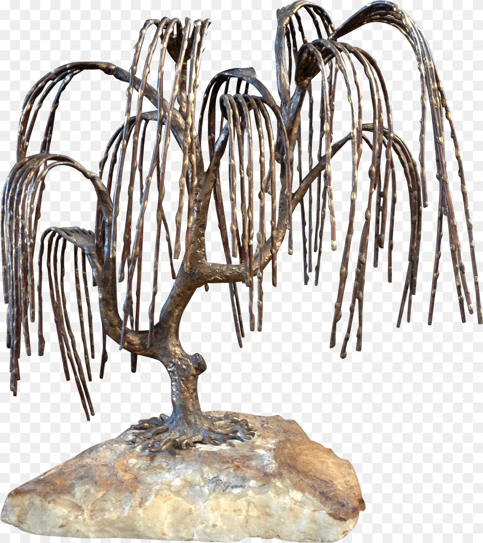 Wood, Plant, Tree, Ice Png Image