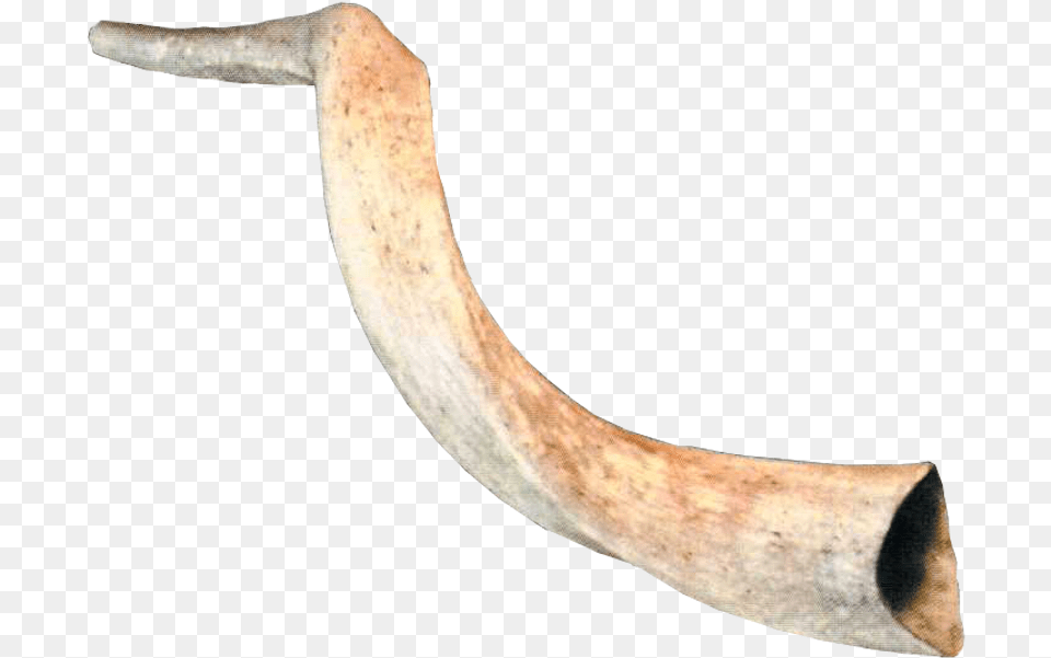 Wood Png