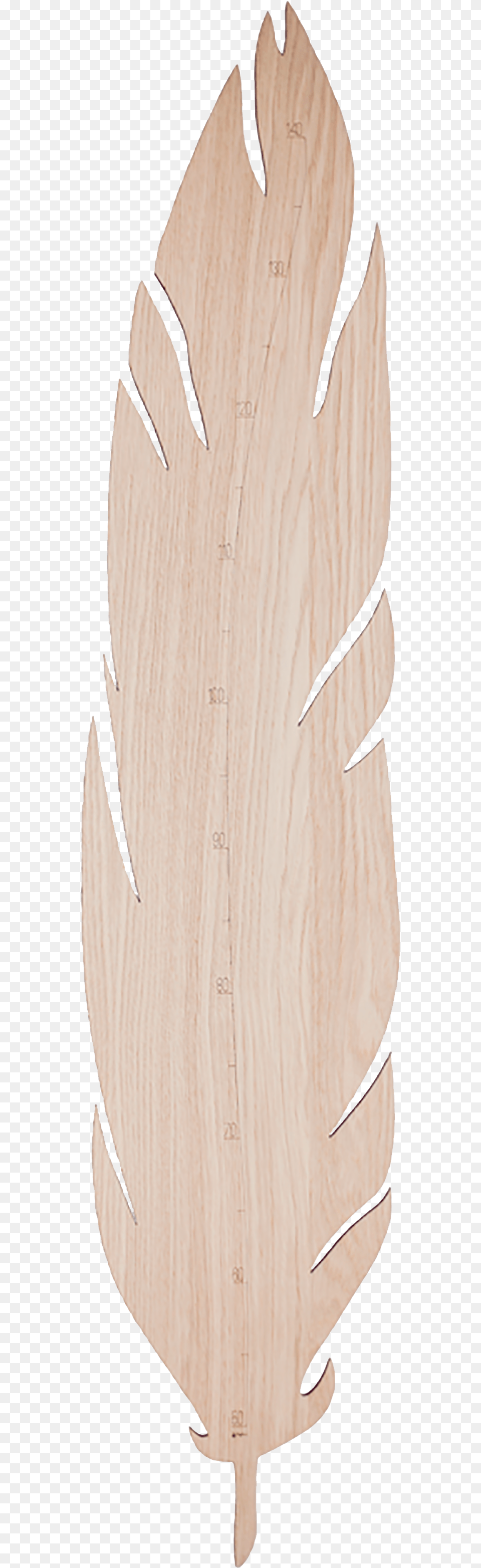 Wood, Leaf, Plant, Plywood, Electronics Png