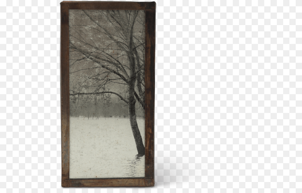 Wood, Plant, Tree, Outdoors, Nature Free Transparent Png