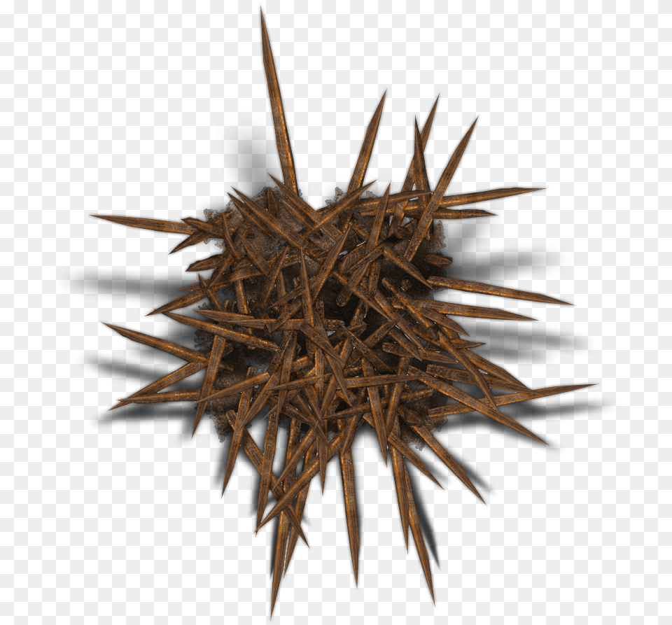 Wood, Nest Free Png