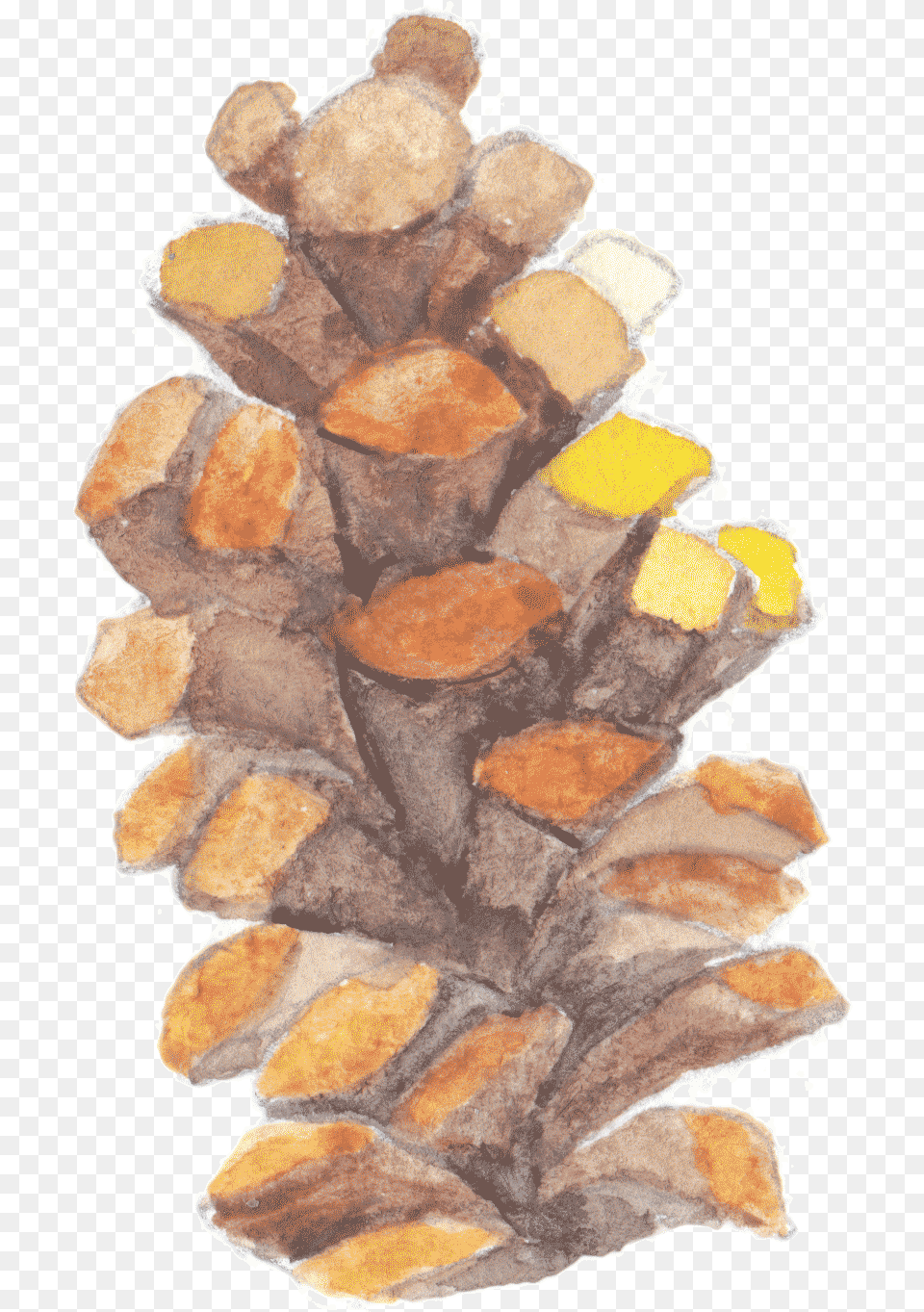 Wood, Plant, Tree, Bread, Food Free Transparent Png