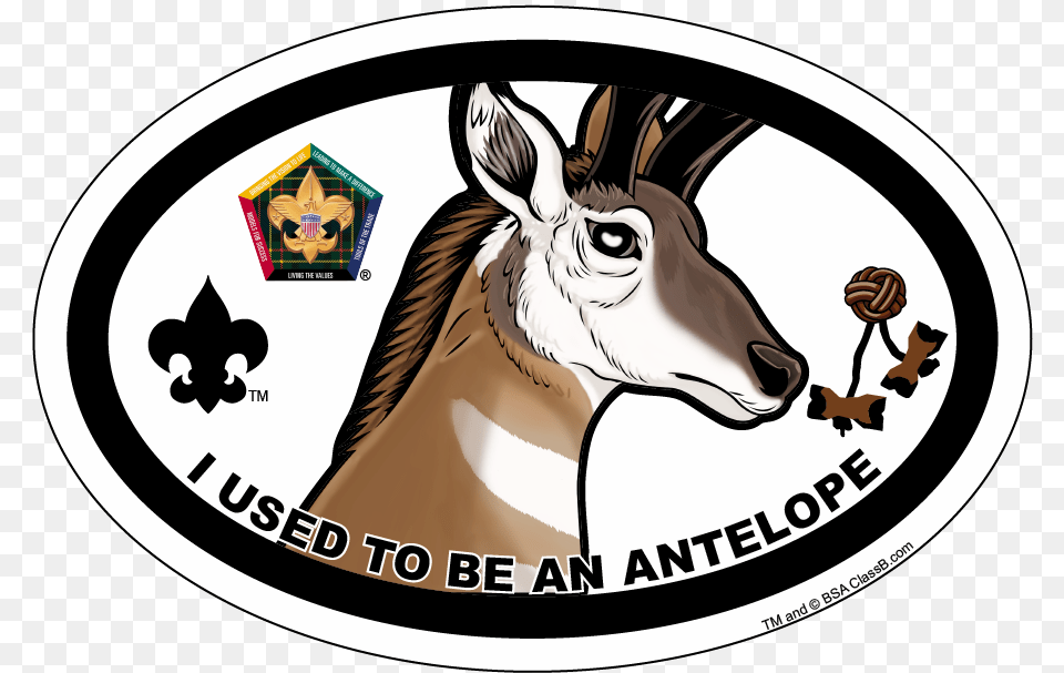 Wood Badge Antelope Oval Magnet, Logo, Animal, Impala, Mammal Png