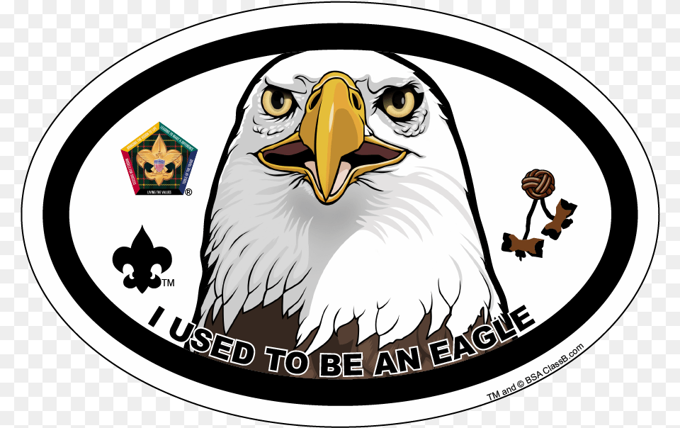 Wood Badge Eagle Car Magnet, Animal, Beak, Bird, Baby Free Png
