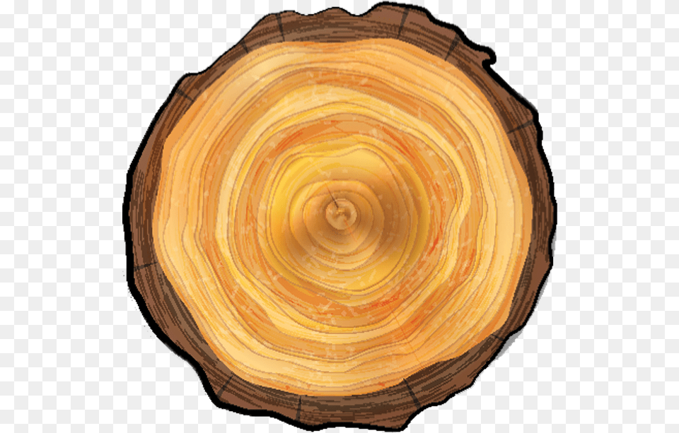 Wood Circular Texture Transparent, Tree, Plant, Lumber, Handbag Png