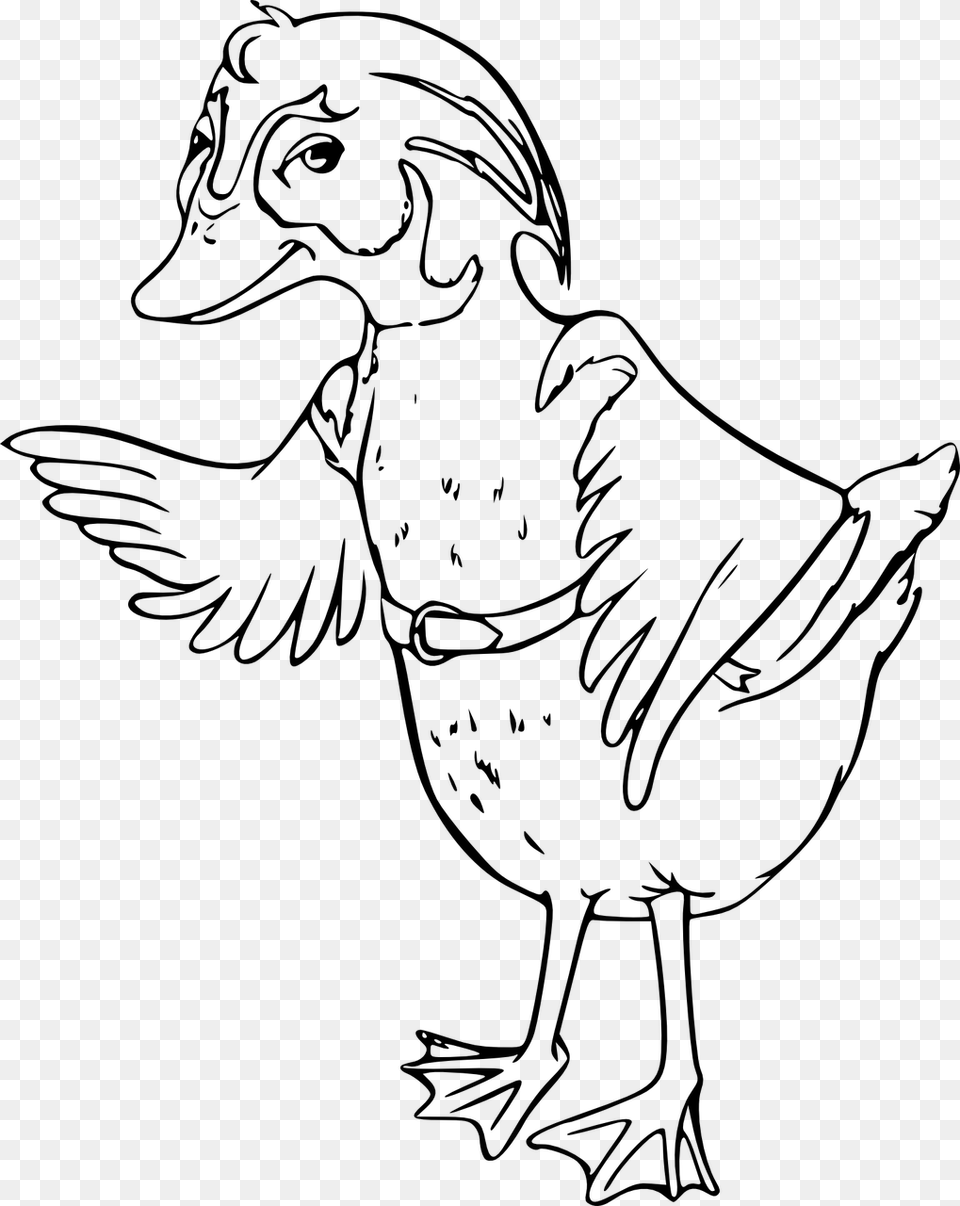 Wood Duck Line Art, Gray Free Png