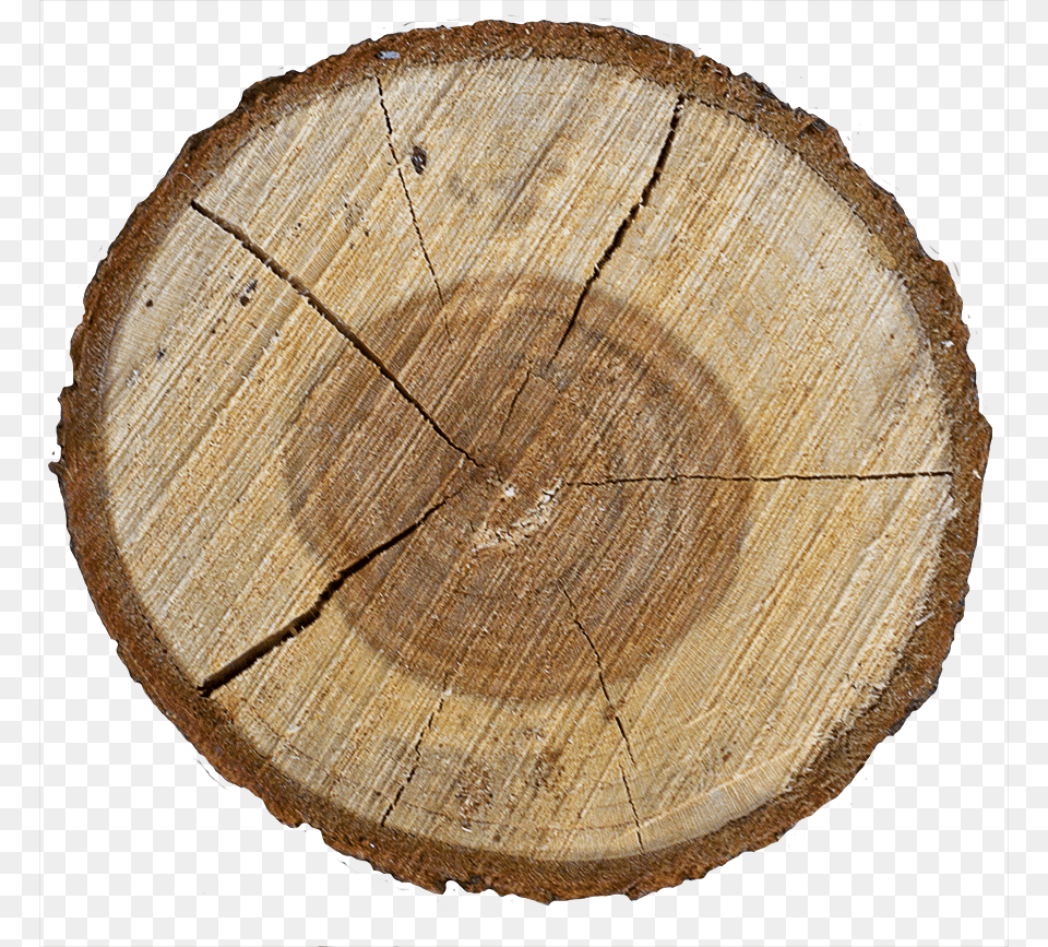 Wood End 09 Tree Stump, Plant, Tree Stump, Lumber Free Transparent Png