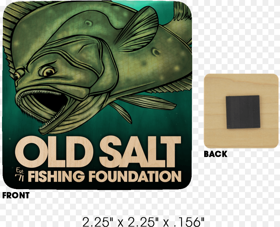 Wood Fishing Magnet Catfish, Baby, Person Png