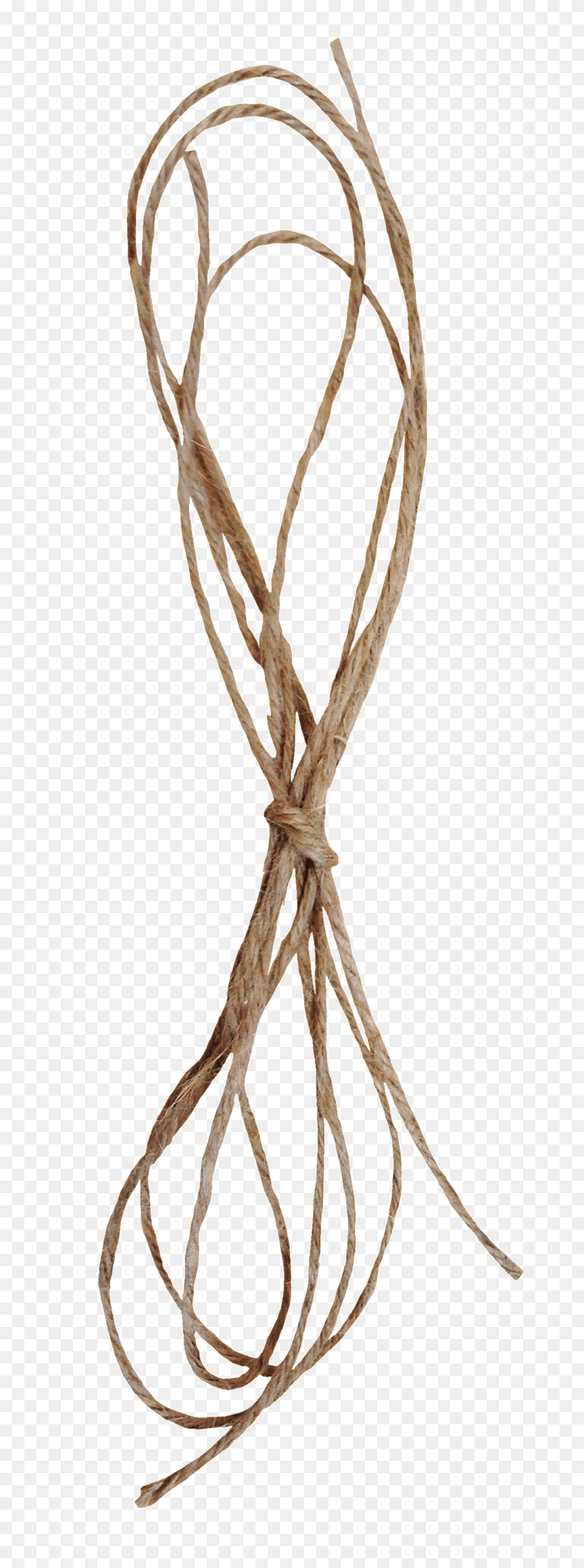 Wood Grain Horns Transparent Decorative Rope, Knot Free Png Download