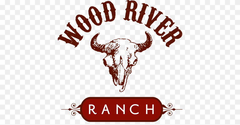 Wood River Ranch Guided Elk Deer Hunts In Wy, Animal, Buffalo, Mammal, Wildlife Png Image