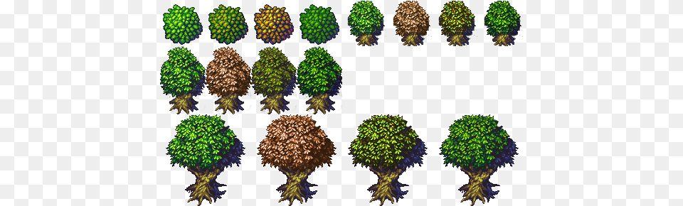 Wood Tileset Top Down Tree Sprite, Sphere, Accessories, Pattern, Plant Free Png Download