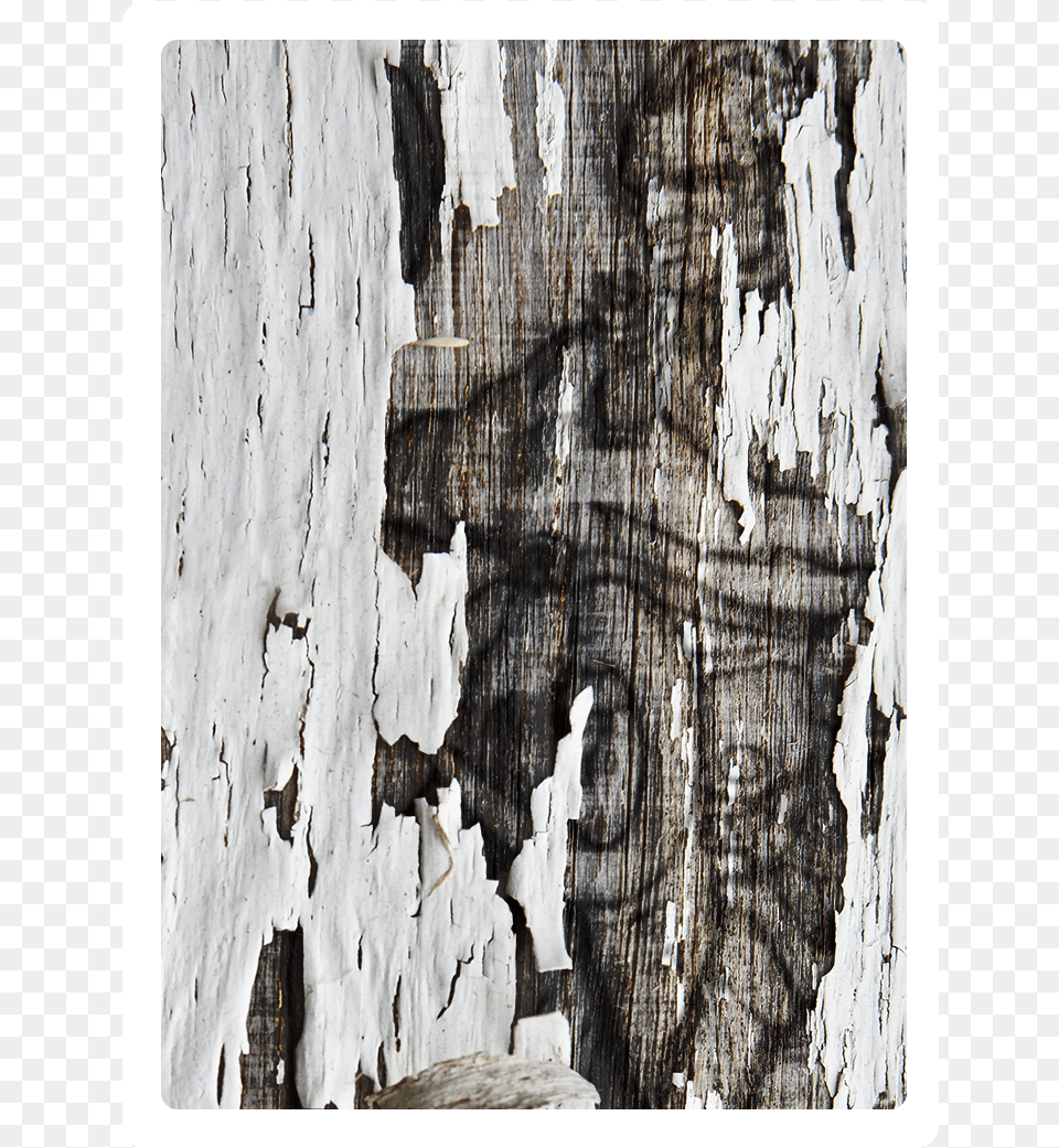 Wood Tome 1 Visual Arts, Plant, Tree, Architecture, Building Png