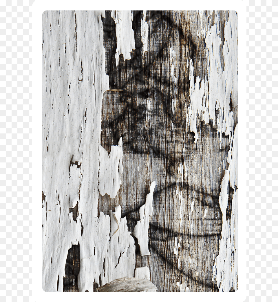 Wood Tome 2 Visual Arts, Architecture, Building, Wall, Plant Png