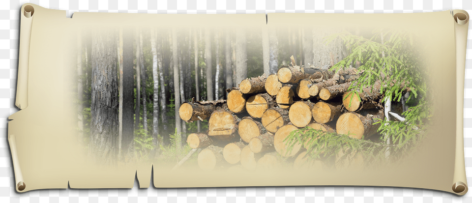 Wood With The Birch Bark And Then Build Up The Logs Lumber, Plant, Tree, Land, Nature Free Png