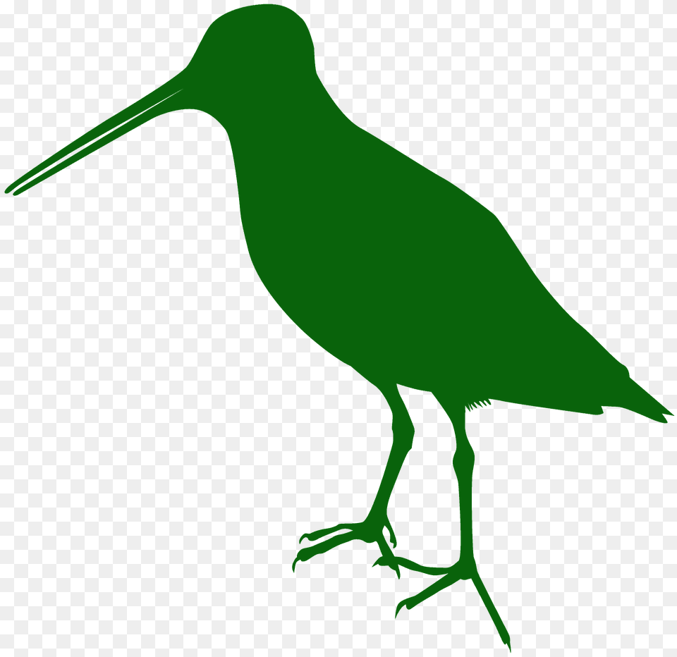 Woodcock Silhouette, Animal, Beak, Bird, Kangaroo Free Png Download